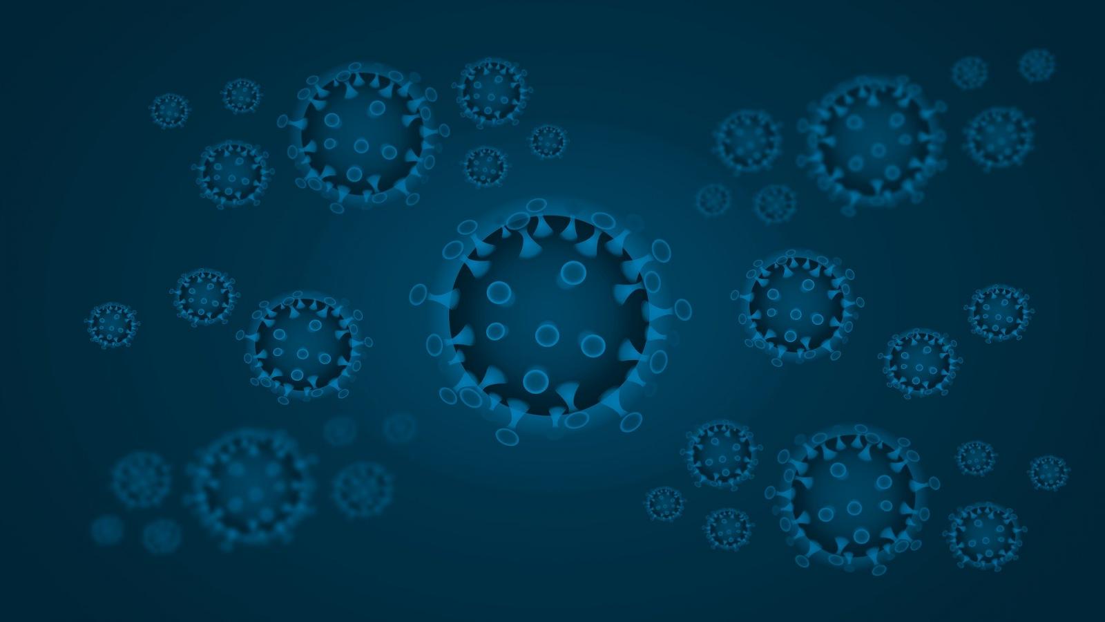 Nuovo Coronavirus